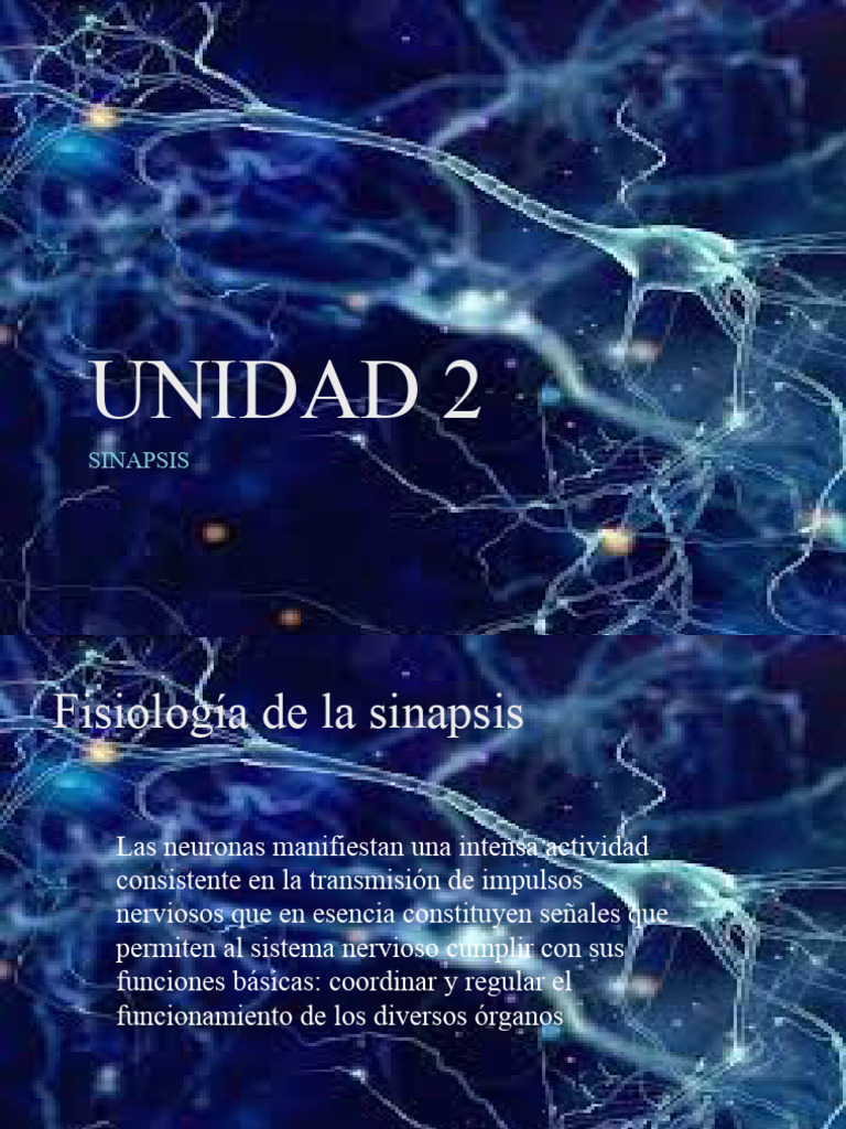 Fisiología de la Sinapsis Neuronal | PDF | Sinapsis | Neurona