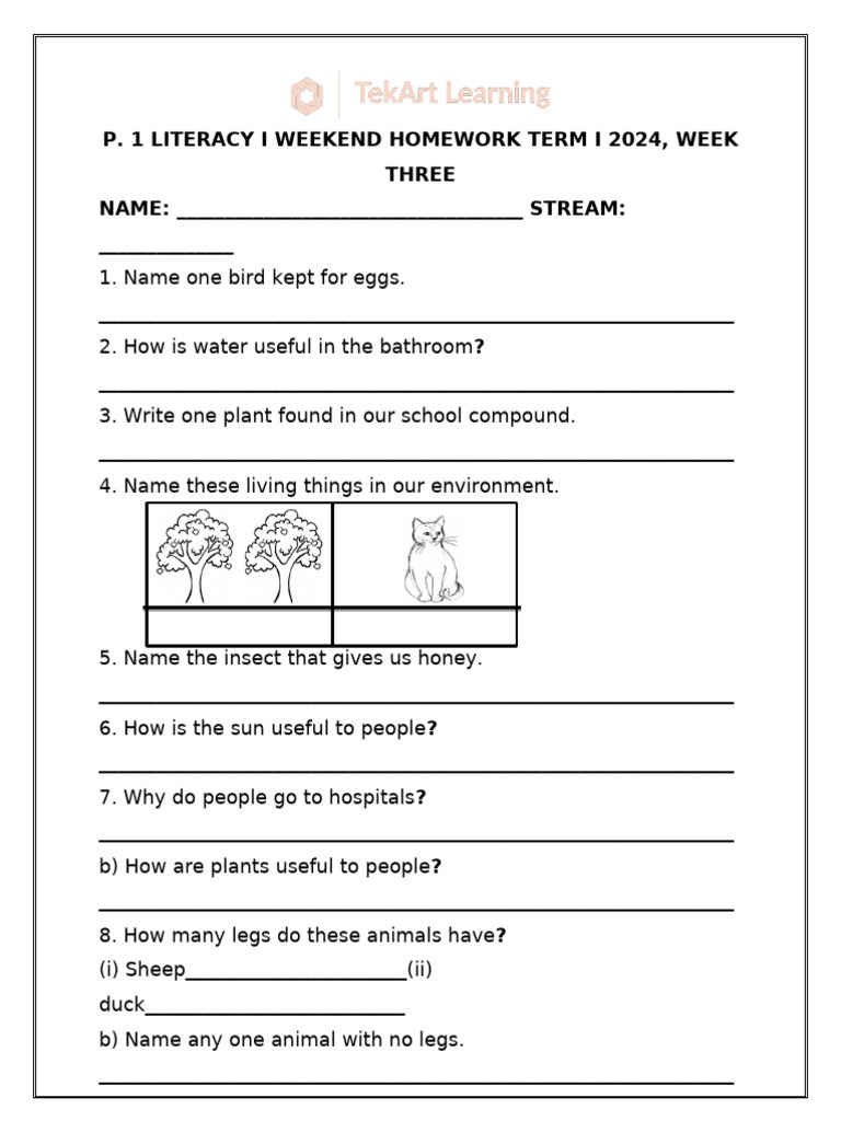 Literacy Homework: Week 3 Term 1 2024 | PDF