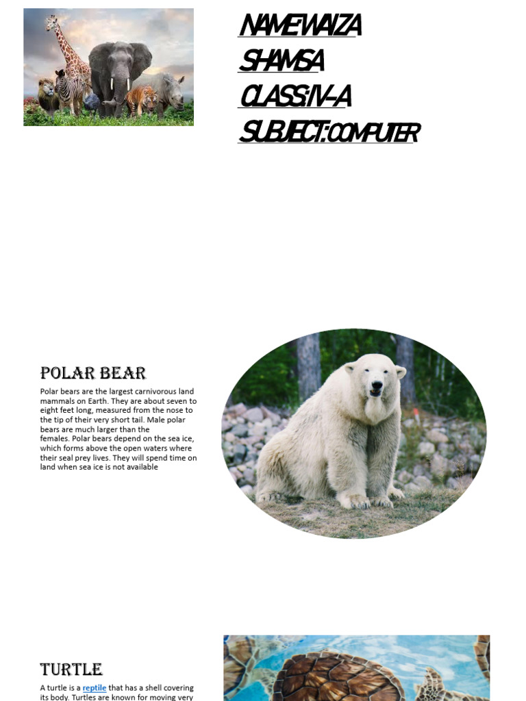 2 Waiza | PDF