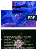 Membrana Celulara