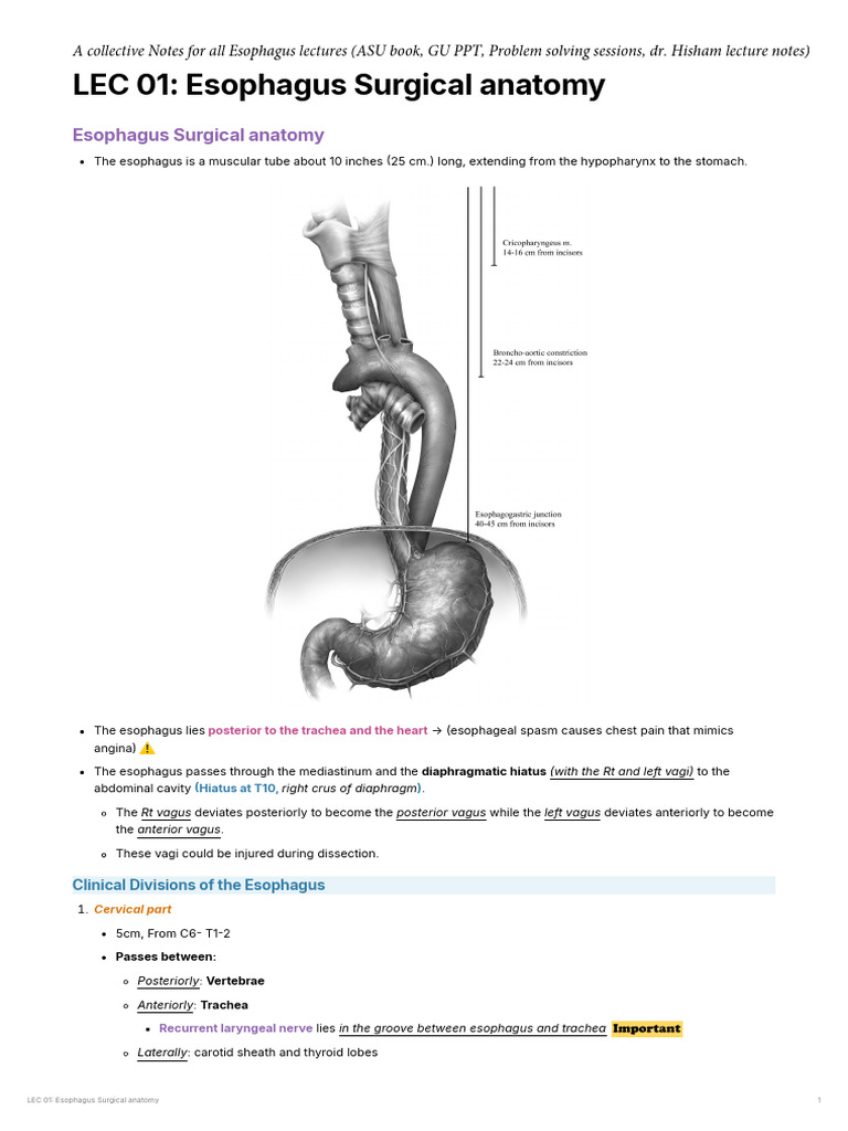 Chapter 01 Esophagus | PDF | Gastroesophageal Reflux Disease | Esophagus