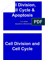 Bs18-1SC Kundu - Cell Division, Cell Cycle & Apoptosis (Two Lectures For Sci of Liv Sys-Autumn 2011)