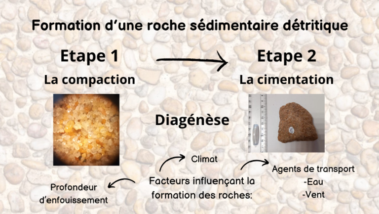Formation D'une Roche Sédimentaire Détritique | PDF