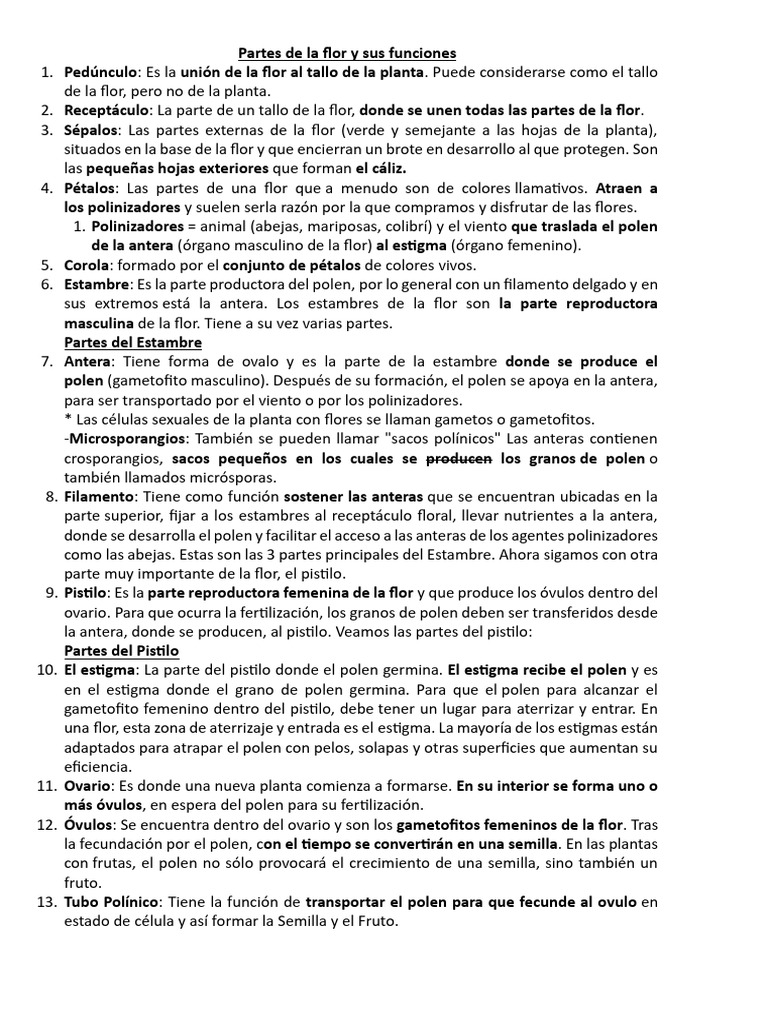 Partes y funciones de la flor | PDF | Flores | Polen