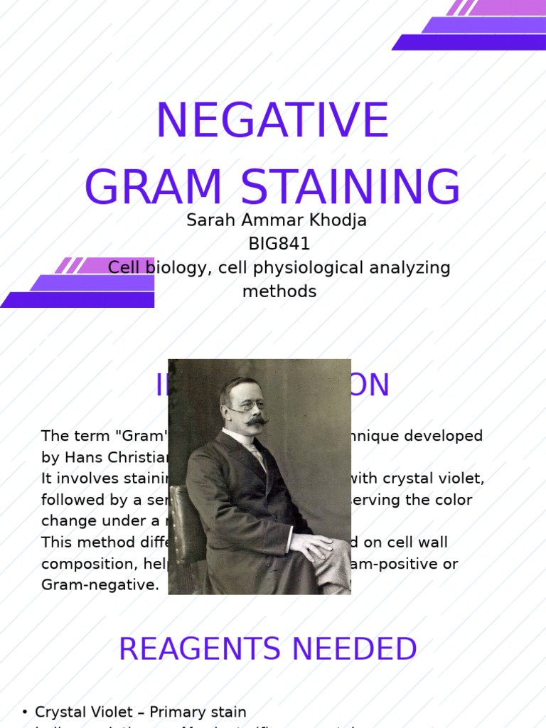 Gram-Negative Staining Procedure Guide | PDF | Staining | Gram Negative ...