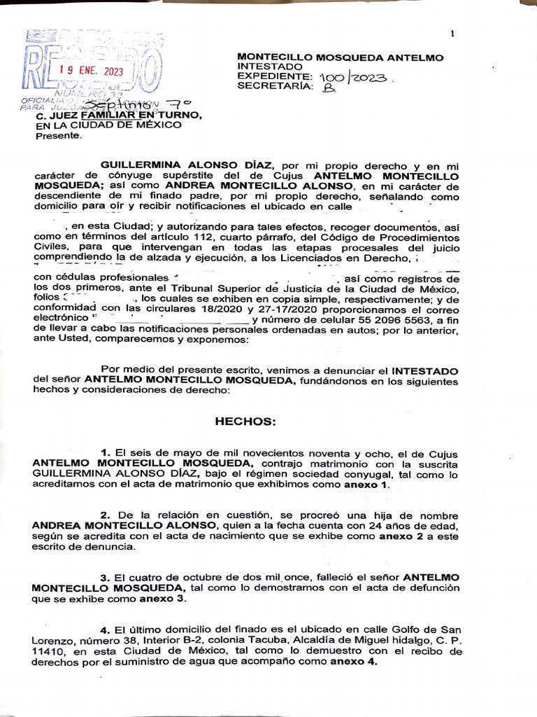 Primera Seccion - Intestado | PDF