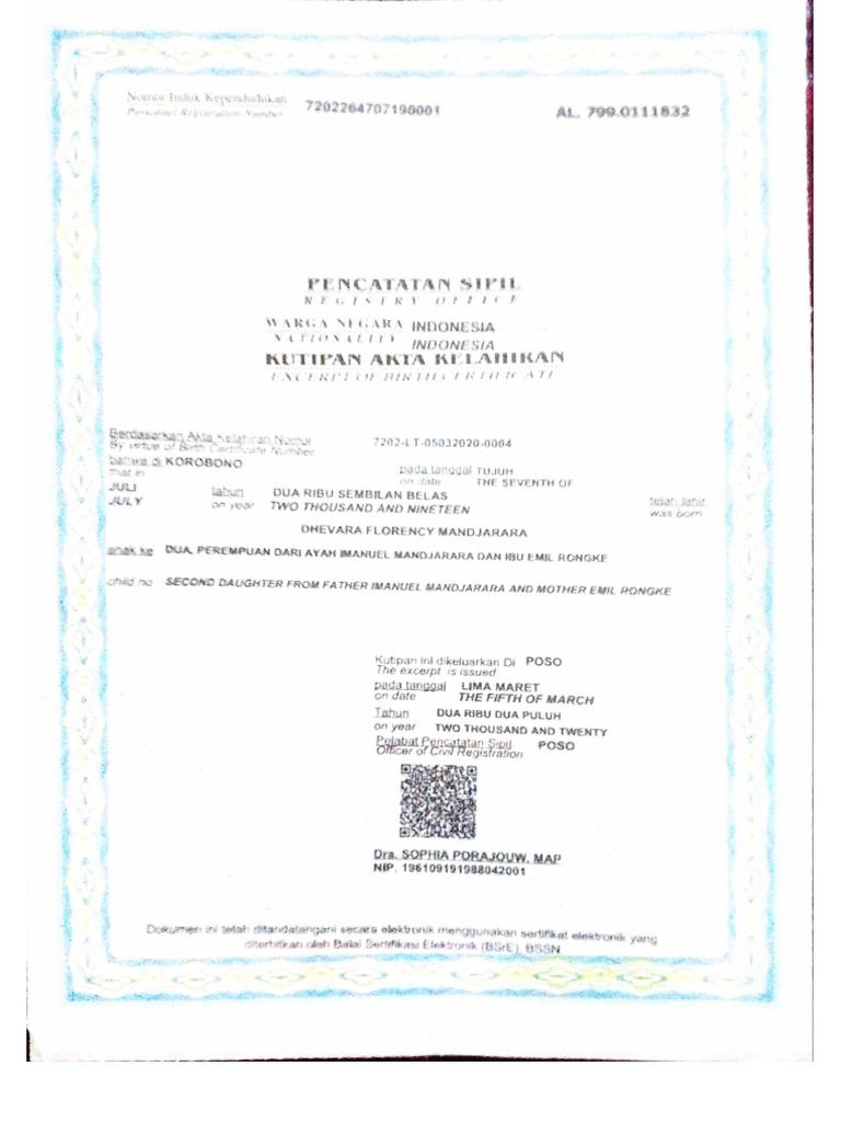 Ace Scanner 2025 03 20 Pdf