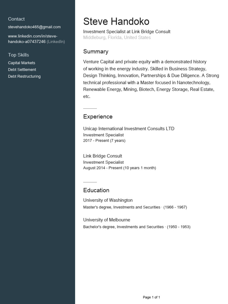 Steve Handoko: Investment Specialist Profile | PDF