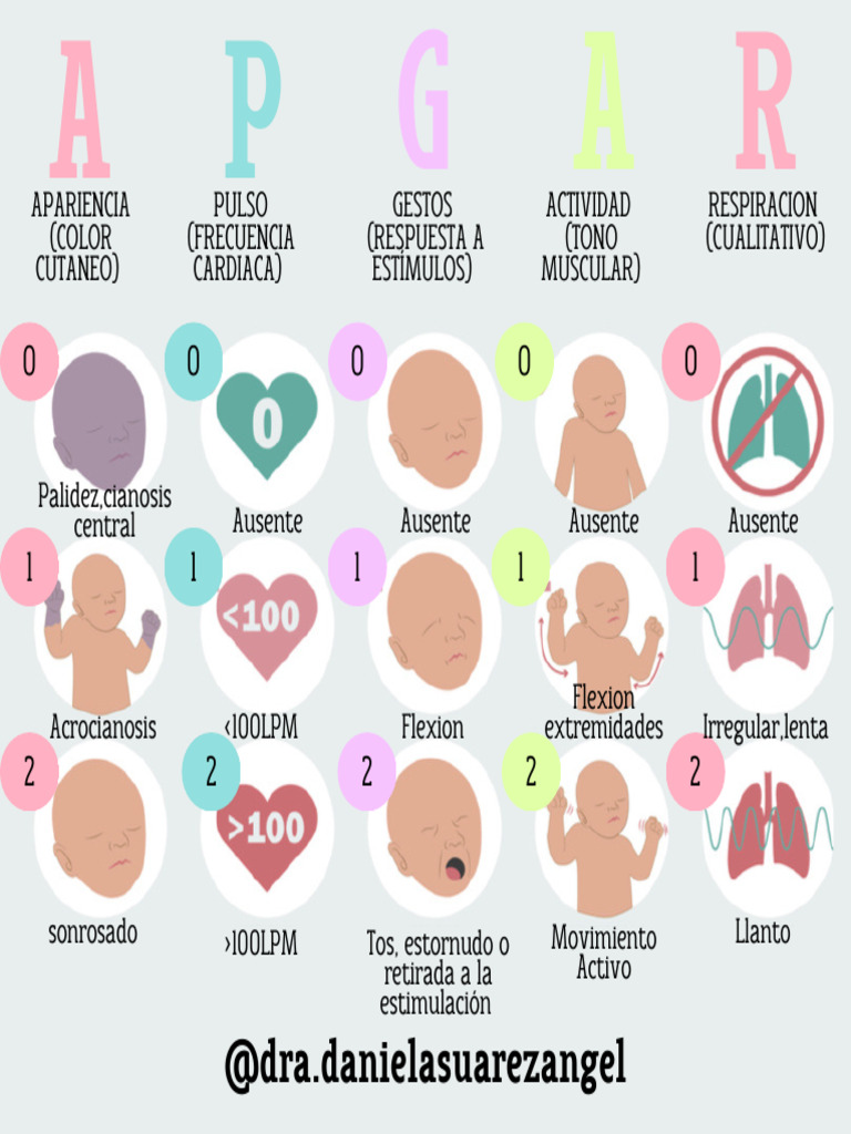 Test Apgar | PDF