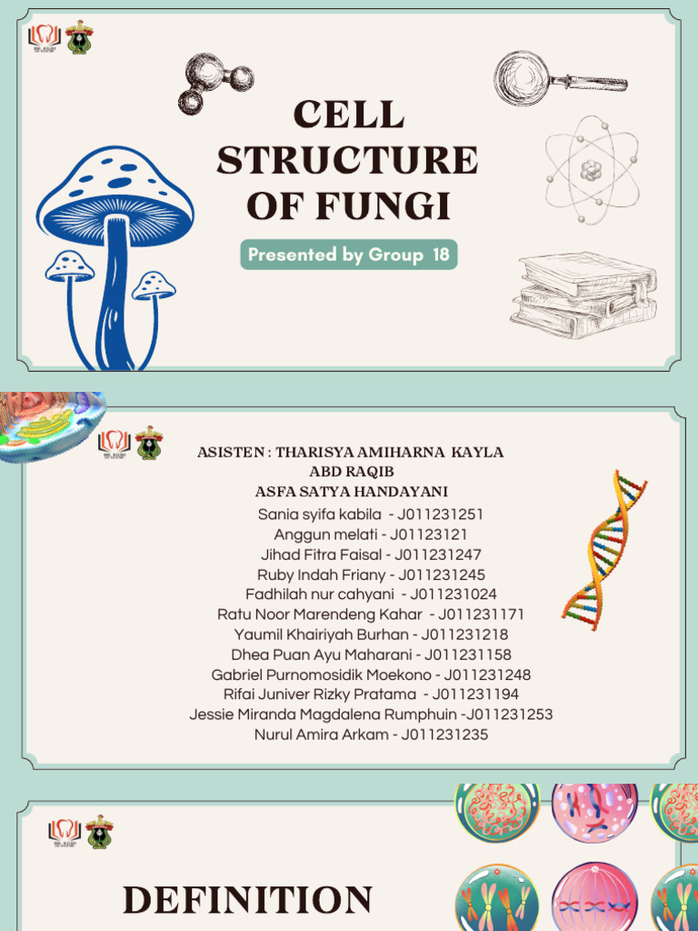 Fungal Cell Structure Overview | PDF | Endoplasmic Reticulum | Cytoplasm