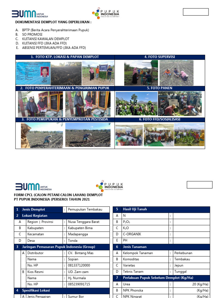 Demplot Pemupukan Tembakau 2024 | PDF