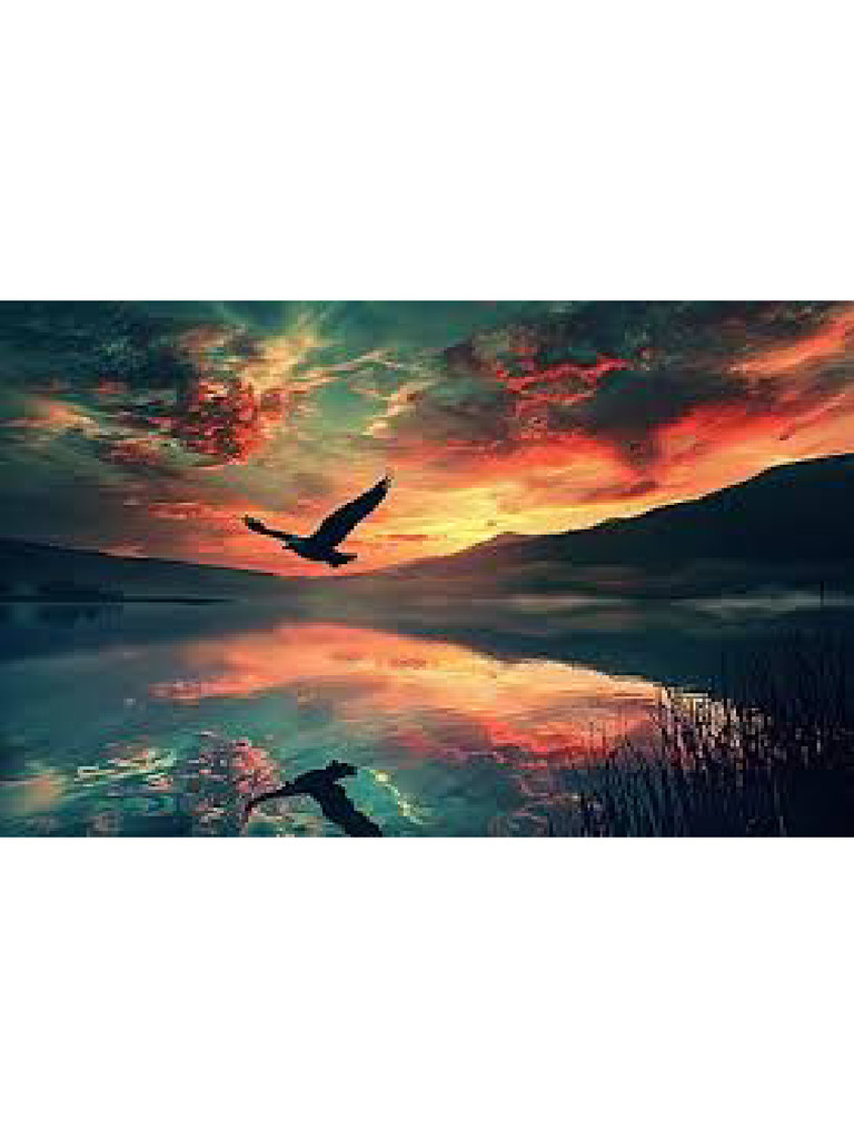 Sunset | PDF