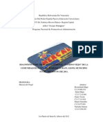 Fase II Diagnostico