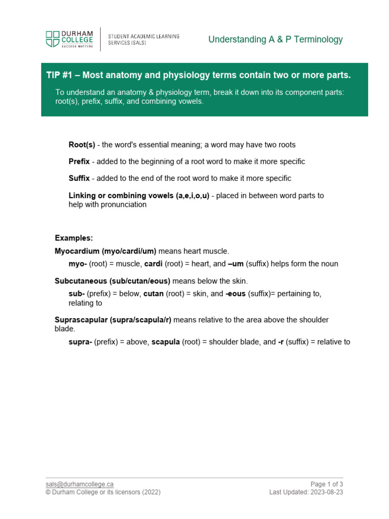 Understanding-Anatomy-Physiology-Terminology | PDF | Heart | Skin