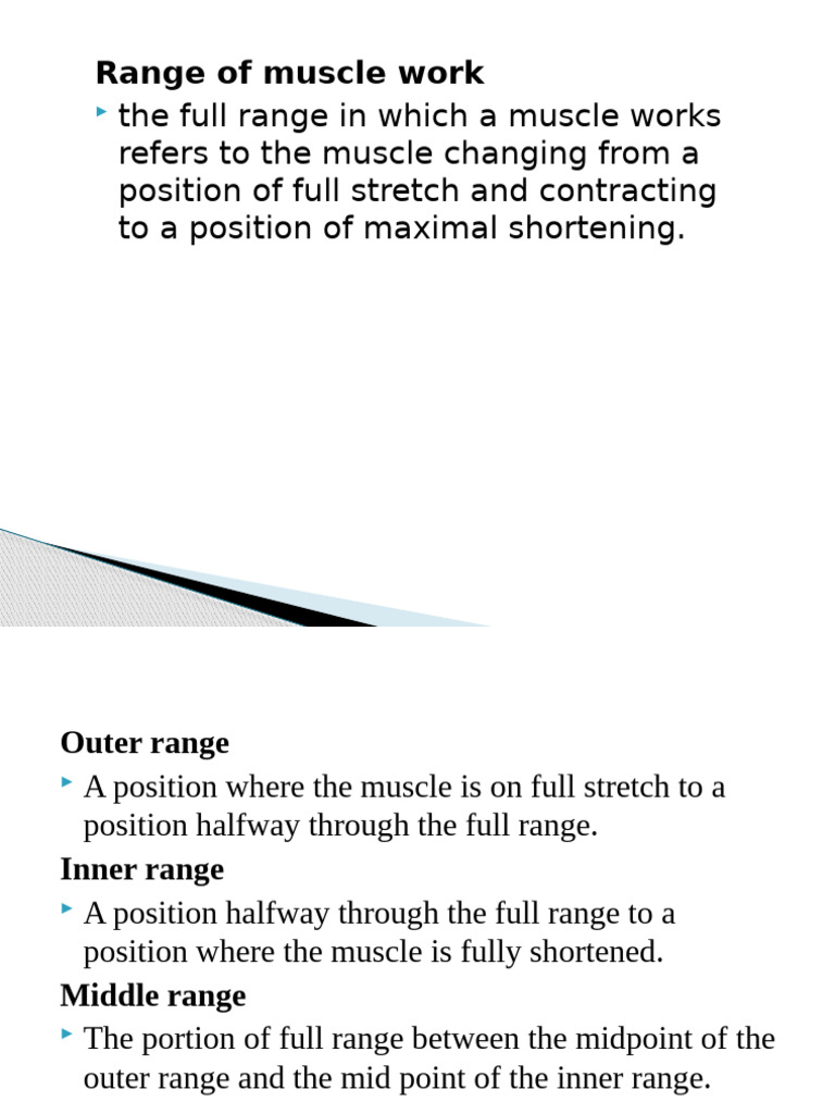 Muscle Work Ranges Explained | PDF | Anatomical Terms Of Motion | Shoulder