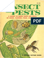 Insect Pests