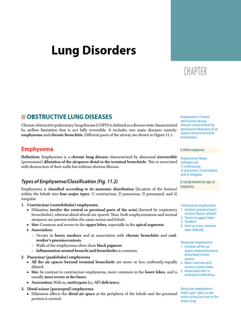 11. Lung Disorders | PDF | Chronic Obstructive Pulmonary Disease | Asthma