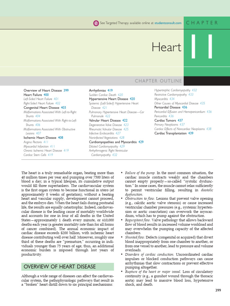 Heart | PDF | Congenital Heart Defect | Heart