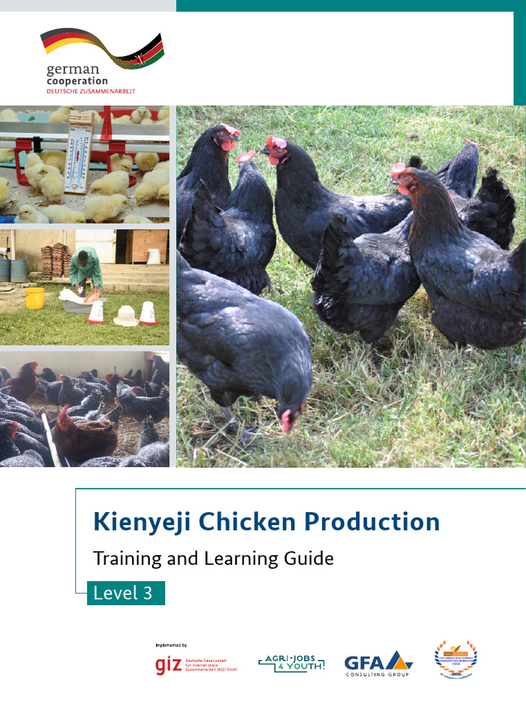 Kienyeji Chicken Production Training and Learning Guide Level 3 - KE ...