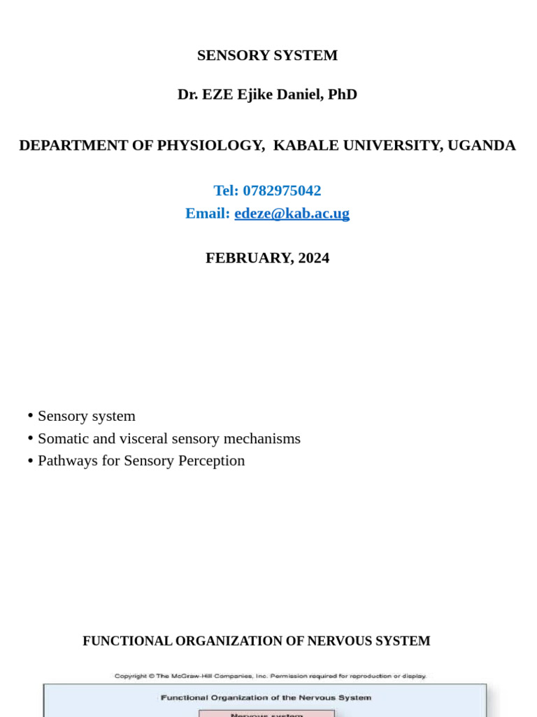Overview of the Sensory System | PDF | Motor Neuron | Spinal Cord