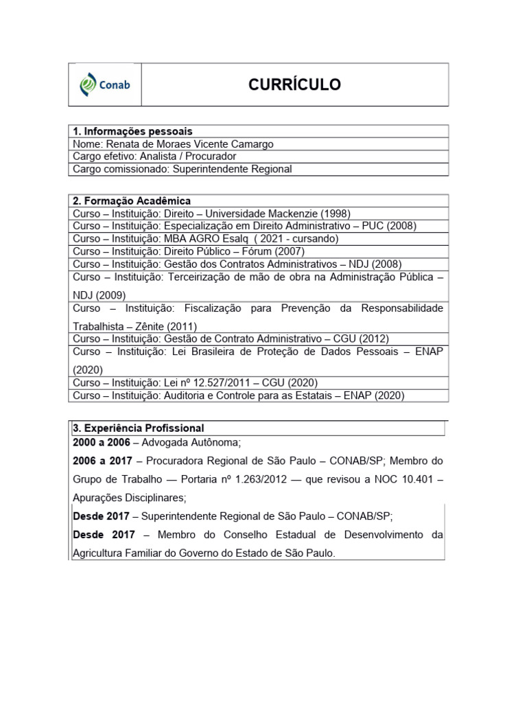 Currículo de Renata Camargo - Analista e Superintendente | PDF