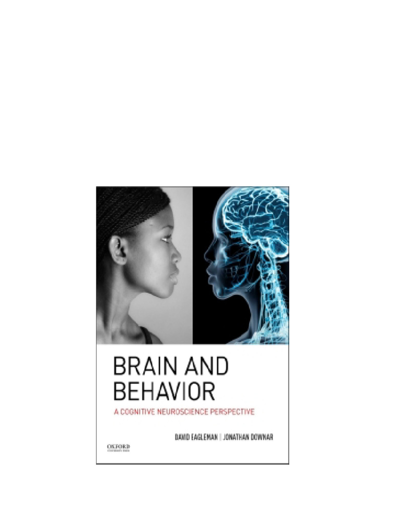 Cognitive Reward Systems Pdf | Interactions between memory and reward ...