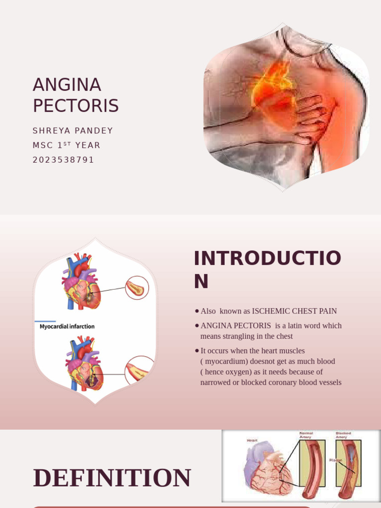 ANGINA PECTORIS | PDF | Myocardial Infarction | Ischemia