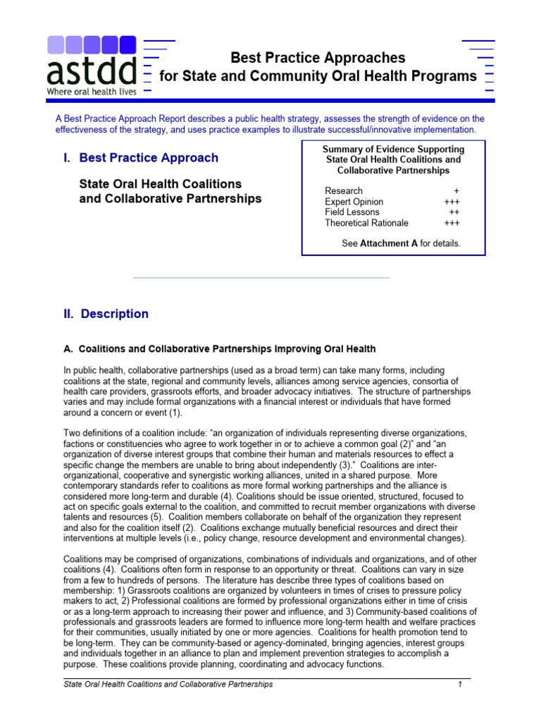 State Oral Health Coalitions Overview | PDF | Coalition | Leadership