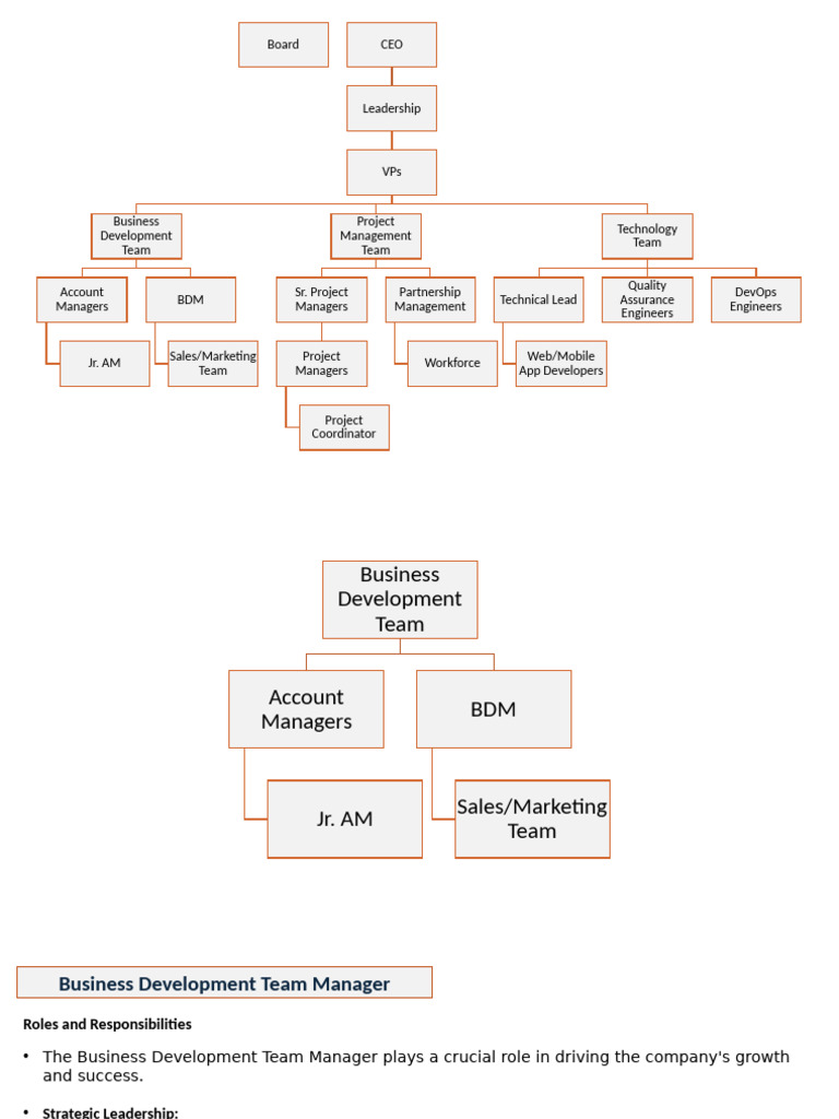 Team Roles and Responsibilities Overview | PDF | Software Development ...