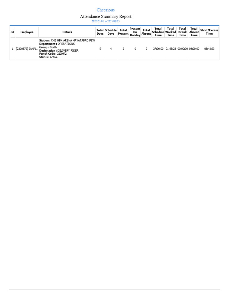 Employee Attendance Summary Report | PDF