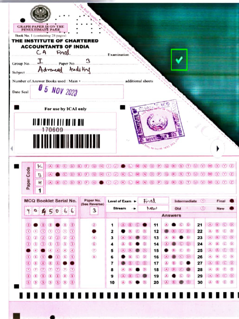 CA Final Audit Answer Sheet Guide | PDF