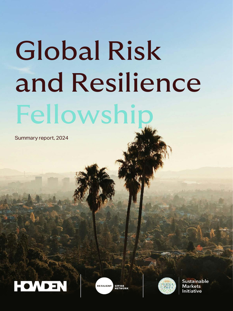 3.2024 Global Risk and Resilience Fellowship Summary Report | PDF ...