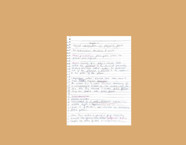 12th Note 2 | PDF