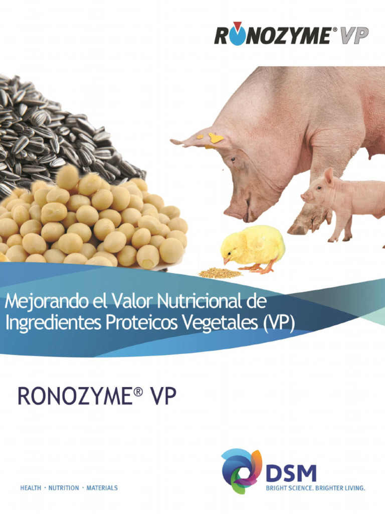 Ronozyme VP | PDF