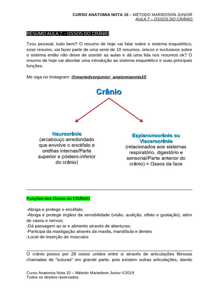 Ossos Do Crânio Pdf Crânio Esqueleto