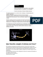 Sistema Nervioso Central