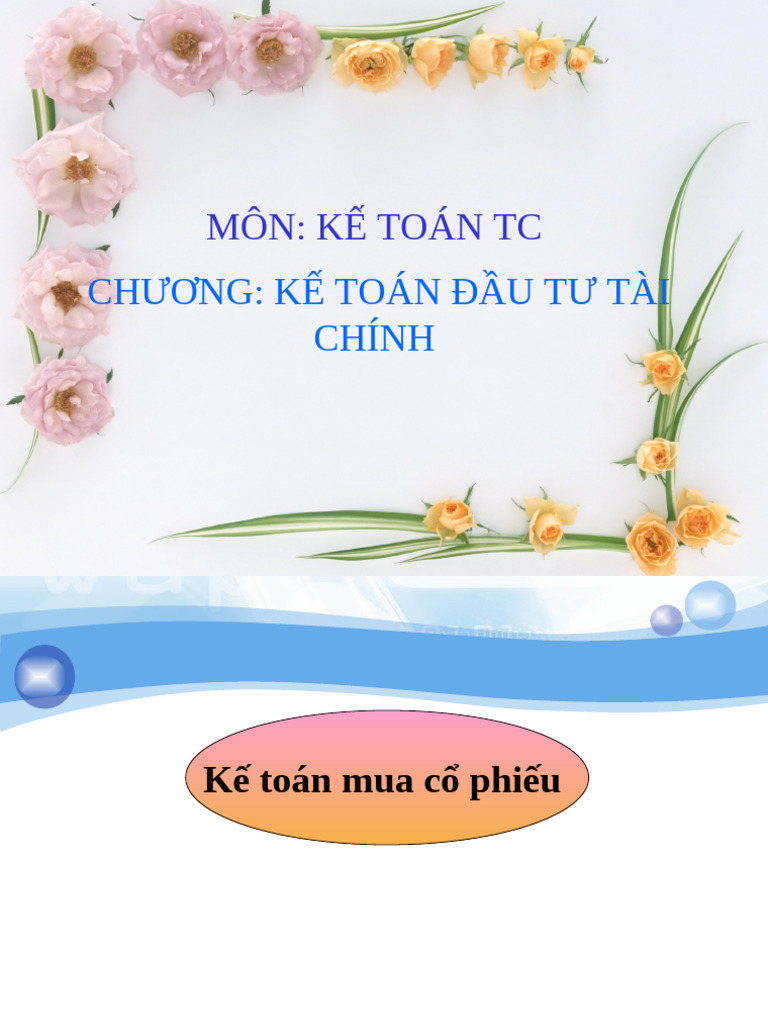 KT DT Tai Chinh GSV | PDF