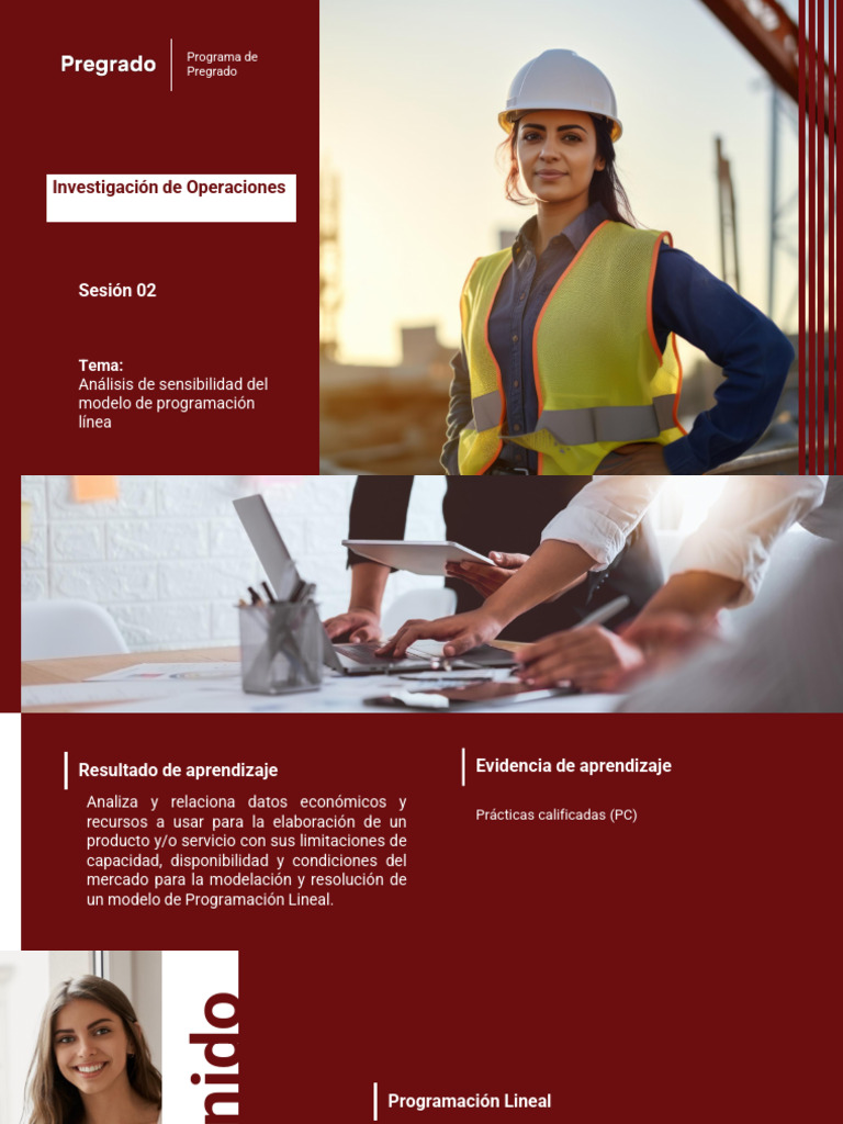 Sesion 02 Invope | PDF | Programación lineal | La alimentación animal