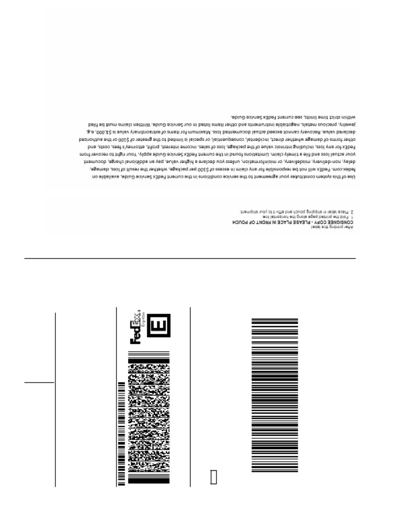 FedEx Shipping Label Details | PDF