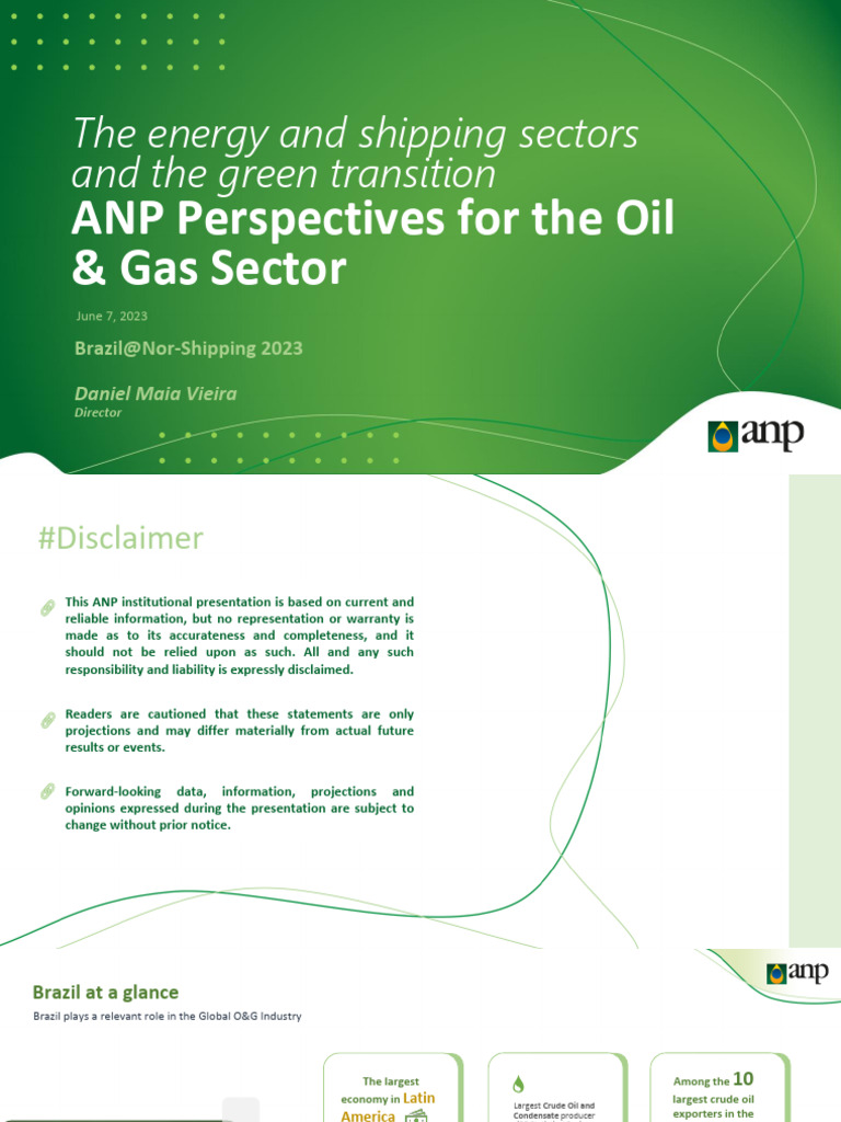 ANP Insights on Brazil's Oil & Gas Sector | PDF | Natural Gas | Biofuel