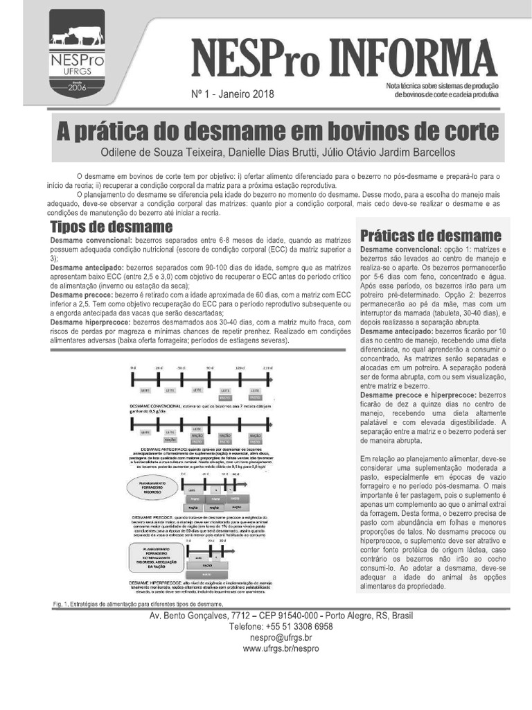 A Pratica Do Desmame | PDF