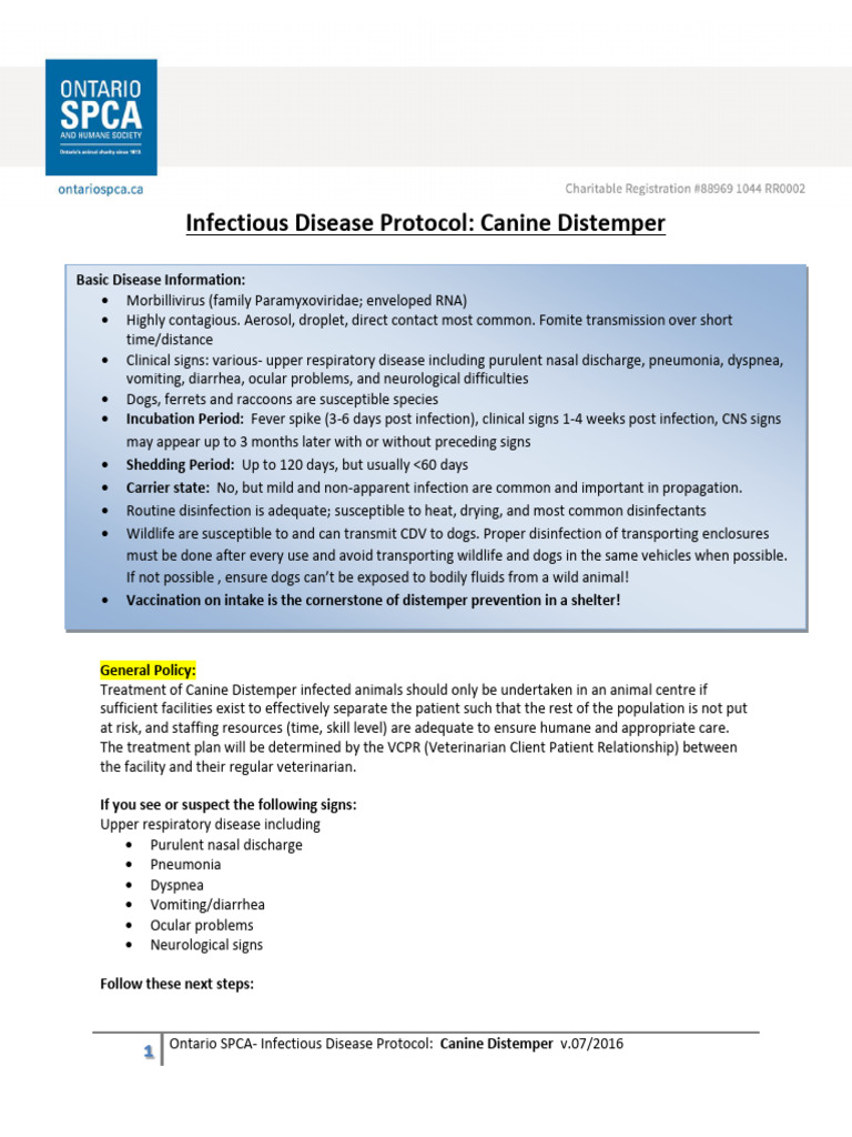 Distem | PDF | Infection | Veterinary Medicine