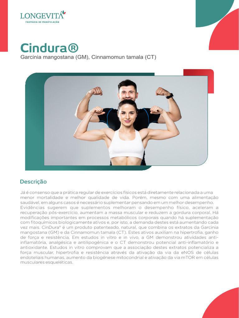 Cindura | PDF | Músculo | Endotélio