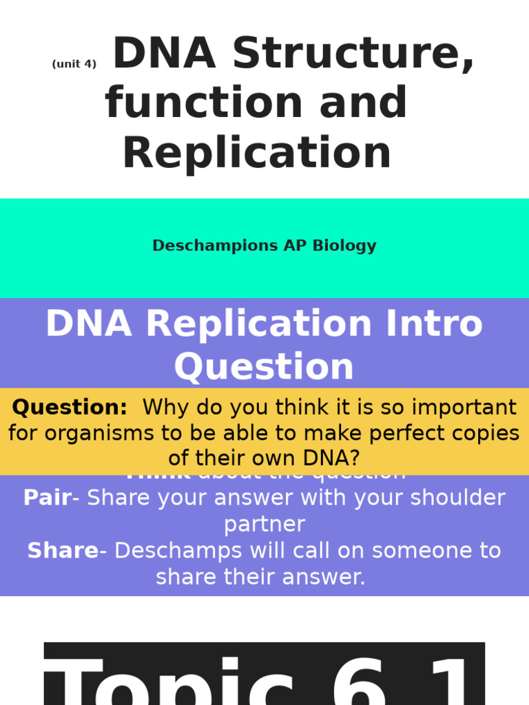 DNA and RNA Structure Overview | PDF | Translation (Biology) | Operon