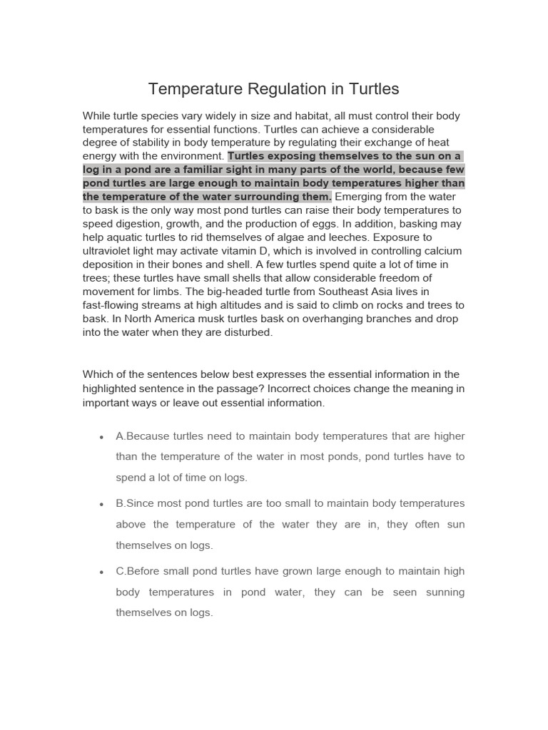 Turtle Temperature Regulation Explained | PDF | Turtle | Thermoregulation