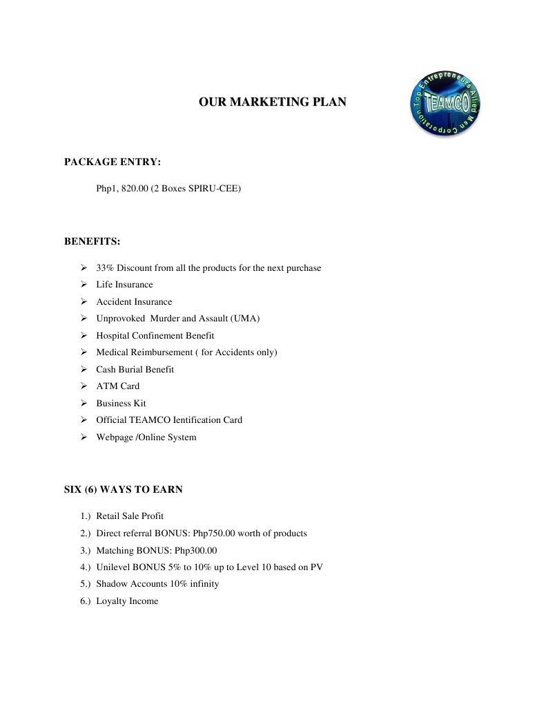 Marketing Plan with Earnings Breakdown | PDF