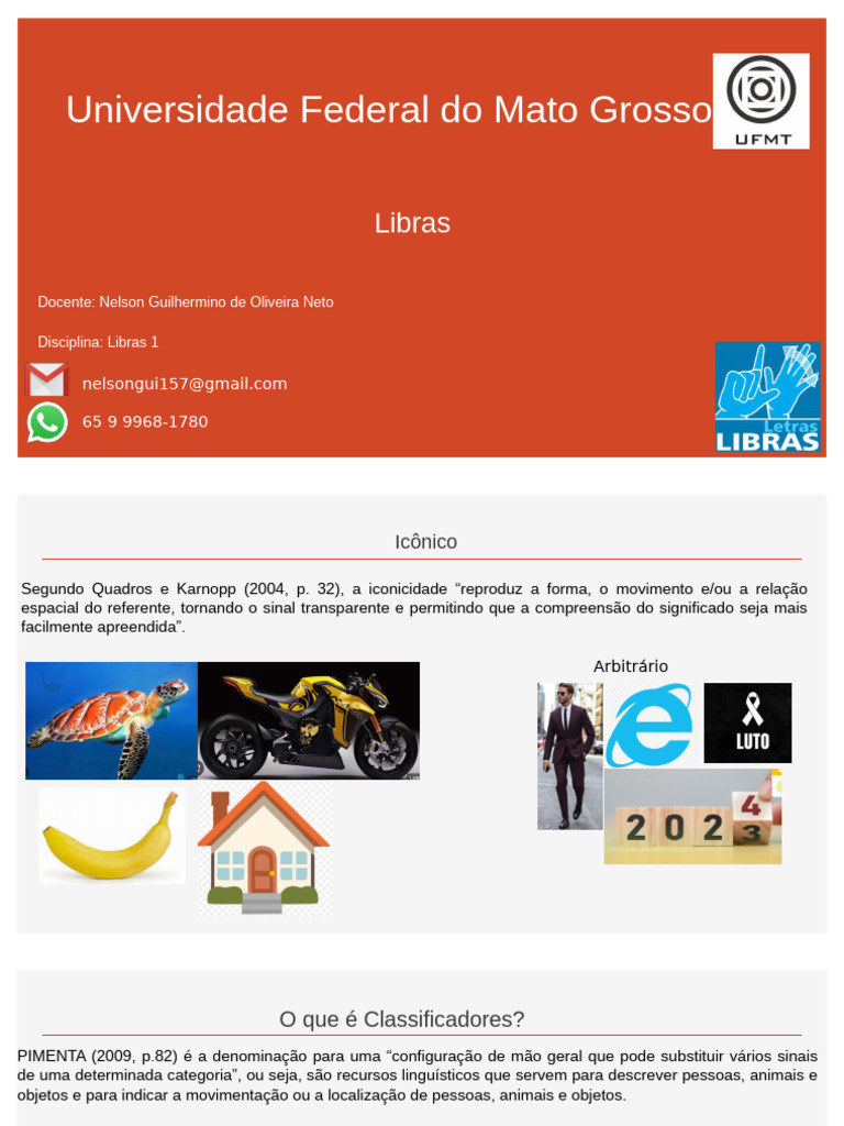 Classificadores na Língua de Sinais LIBRAS | PDF