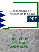 Otros Métodos de Estudios de La Célula