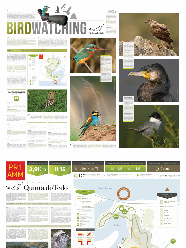 F Painel BIRDWATCHING PR1 AMM Quinta Tedo | PDF