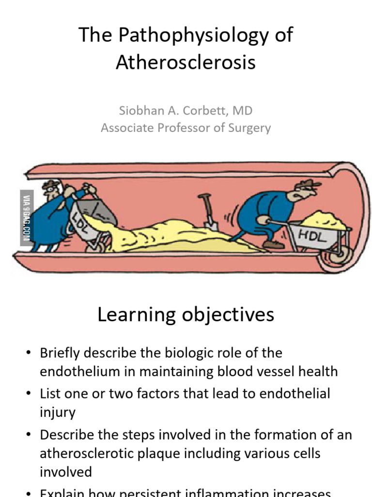 Understanding Atherosclerosis Pathophysiology | PDF | Atherosclerosis ...